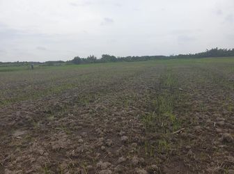 Chính Chủ Cần Bán Nhanh Miếng Đất 1000M2,ngay Sông Ông Kèo.