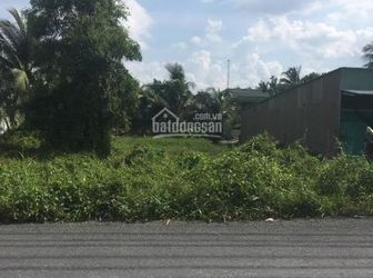 Cần Tiền Bán Gấp Đất Mặt Tiền Đường Thích Thiện Hòa, Bình Chánh, Shr Từ 900Tr/nền, Hiếu: 0902680537