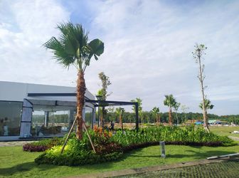 Bán Đất Trung Tâm Bến Cát,sổ Hồng Riêng, Quy Hoạch Đô Thị Chuẩn Xanh-Sạch-Đẹp.