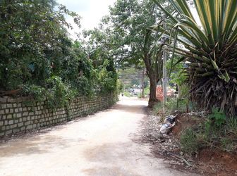 Bán Đất Đường Triệu Việt Vương, Phường 4, Đà Lạt 336Mv Mã 19109 