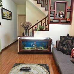 Cần Tiền: Bán Gấp Nhà Thanh Xuân, Giá Chỉ 2.6 Tỷ, Lh: 0942774386