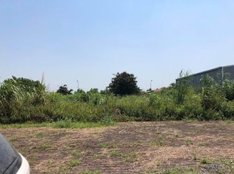 Bán Đất Biệt Thự Mặt Đường 31M Giá Đầu Tư - Vị Trí Đắc Địa 