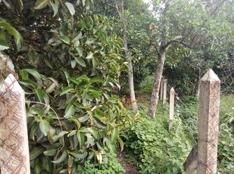 Gia Đình Về Quê Nên Cần Bán Lại Lô Đất Chính Chủ Thổ Cư 100%,sổ Hồng Có Sẵn