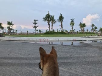 Thanh Lý 5 Lô Đất Liền Kề Đối Diện Trung Tâm Thương Mại Vincom.