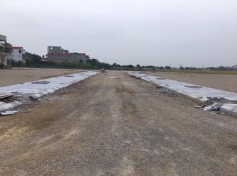 Bán Đất Khu Đấu Giá Quang Minh Gia Lộc Cạnh Ngã Tư Chợ Bóng Và Thanh Miện