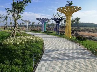 Đất Nền Giá Rẻ Khu Vực Bình Dương 