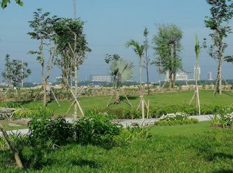 Đất Nền Giá Rẻ Khu Vực Bình Dương 