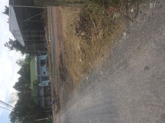 Bán Đất Giá Rẻ. Có Sổ Hồng. Vị Trí Đẹp