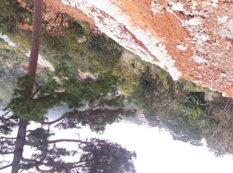 Cần Bán Đất 3 Tháng 4 - Diện tích 2547 m2 - Tp Đà Lạt