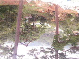 Cần Bán Đất 3 Tháng 4 - Diện tích 2547 m2 - Tp Đà Lạt