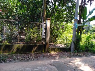 Bán Gấp Miếng Đất Vườn, diện tích 618m2. Giá 400 Triệu