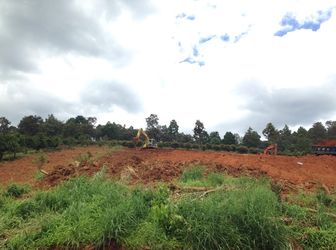 Tôi Cấn Bán Đất 4000 M2 Giá Rẻ - Lâm Hà