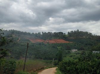 Tôi Cấn Bán Đất 4000 M2 Giá Rẻ - Lâm Hà