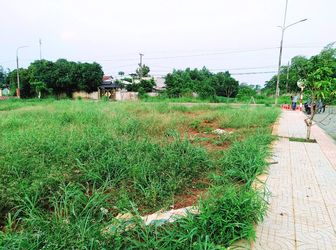 Cần Bán Gấp Đất Mặt Tiền Đường Tập Đoàn 7 Phước Bình Giá Rẻ!