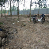 Bán Tại Chợ Hội Nghĩa Tân Uyên