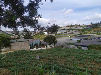 Cần Bán Gấp Đất Trịnh Hoài Đức - Phường 11 - Tp.đà Lạt