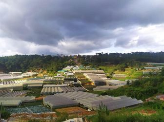 Cần Bán Gấp Đất An Sơn- Phường 4- Tp.đà Lạt