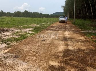 Chủ Kẹt Tiền Gửi Bán Gấp Lô Đất 1000M2/390Triệu, Ngay Mặt Tiền Đt 744, Tại Dầu Tiếng, Bình Dương.