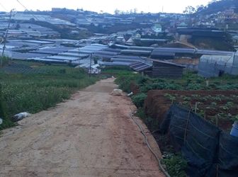 Cần Bán Gấp Đất Trịnh Hoài Đức- Phường 11- Tp.đà Lạt