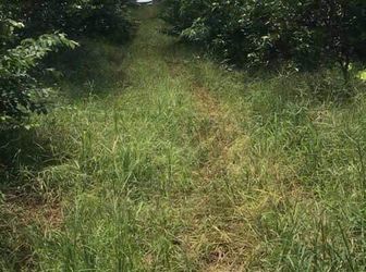 Bán Gấp Vườn 1,1 Ha Tại Trảng Bom