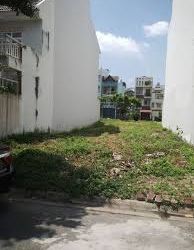 Cần Tiền Bán Gấp Đất Ngay Mặt Tiền Trần Đại Nghĩa, Bình Chánh, Shr 900Tr/nền Xdtd, Hiếu:0902680537 