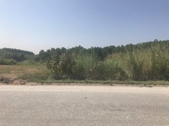 Bán Đất Mặt Đường Tỉnh Lộ Huyện Hoành Bồ Giá Đầu Tư