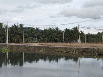 Bán Đát Bình Chánh, Sát Các Khu Công Nghiệp, Tặng 2 Chỉ Vàng + Sổ Tiết Kiệm 20 Triệu