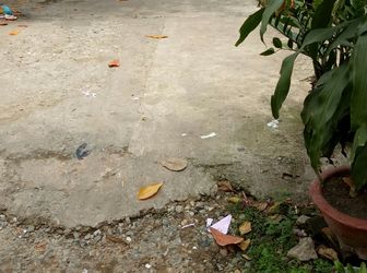 Bán Nhà Cấp 4 Quận Bình Tân, Đường Số 15, Dt 48.4 M2