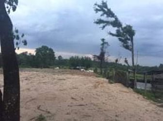 Bán Đất P.thuận Giao, Tx.Thuận An, Cách Cao Tốc Mỹ Phước - Tân Vạn 200m, Diện tích 12.000 m2, Giá Hot: 4Tr/m2