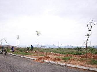 Cần Bán Gấp Lk 19 Tại Khu Đô Thị Cao Xanh Hà Khánh A Mở Rộng