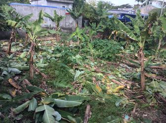 Bán Nhanh Lô Đất 3 Mặt Tiền Cách Cầu Niệm 2 Chỉ 2Km