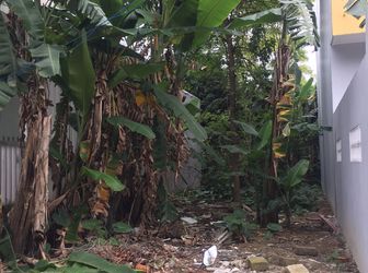 Cần Bán Lô Đất - Kiệt Lý Thái Tổ - Giá Đầu Tư Thời Điểm Tốt 