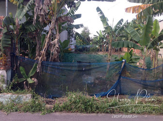 Cần Bán Lô Đất Thổ Cư Dt 225M2 Tại Xã An Phước – Huyện Long Thành Giá Chỉ 1.68 Tỷ 