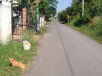 Cần Bán Lô Đất Thổ Cư Dt 225M2 Tại Xã An Phước – Huyện Long Thành Giá Chỉ 1.68 Tỷ 