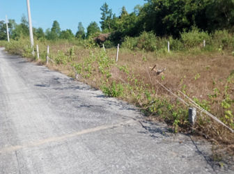 Em Cần Bán 5 Nền Diện tích 70-100M2, Giá Chỉ 350Tr/nền, Sổ Hồng Riêng.