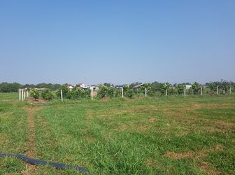 Đất Vườn Chợ Sáng Tân Thạnh Đông 1100M2 Giá 2,1 Tỷ Hẻm Đường 107 