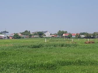 Đất Vườn Chợ Sáng Tân Thạnh Đông 1100M2 Giá 2,1 Tỷ Hẻm Đường 107 