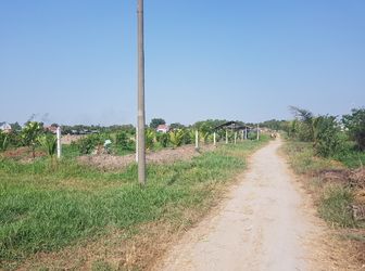 Đất Vườn Chợ Sáng Tân Thạnh Đông 1100M2 Giá 2,1 Tỷ Hẻm Đường 107 