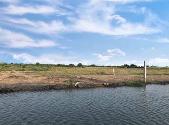 Mua Đất Đón Xuân Nhận Ngay Tài Lộc. Nhơn Trạch Giá Rẻ