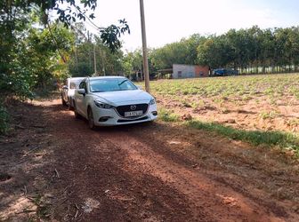 Kẹt Tiền Bán Đất Giá Rẻ Dầu Tiếng Bình Dương (290 Triệu/nền)