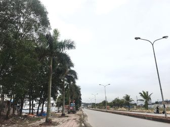 Bán Đất Biệt Thự Hà Khánh A Trục Đường Chính 31M Giá Rẻ Nhất Thị Trường