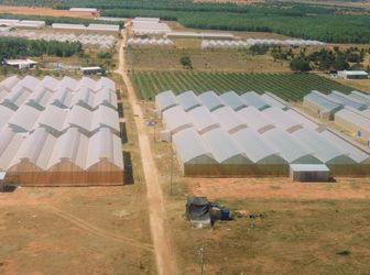 Ra Hàng Nhiều Lô Đất Trồng Cây Giá Rẻ 50-70Ngàn/m2, Sổ Chính Chủ Công Chứng Ngay