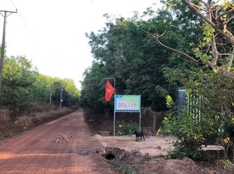 Cần Bán Đất Dầu Tiếng Bình Dương Giá Rẻ 298 Triệu/1000M2, Sổ Hồng Riêng