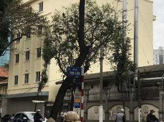 Cần Bán Gấp 445M2 Nhà Mặt Phố Dốc Thọ Lão Q.hai Bà Trưng Lh: 098.678.8881