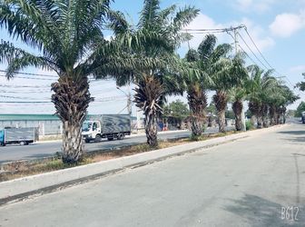 Đất Bình Chánh Chuẩn Bị Lên "quận", Liền Kề Kdc Tên Lửa,giá Thật 100%, Sổ Riêng