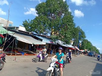 [Chính Chủ] Ông Chú Tôi Cần Bán Gấp 300M2 Đất Thổ Cư, Giá 670 Triệu Bao Sổ. Lh 0343.206.106