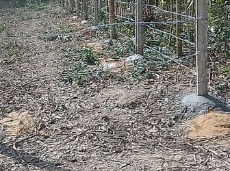 Đất Nghĩa Hành - Quảng Ngãi, Diện Tích Lớn 7400M2