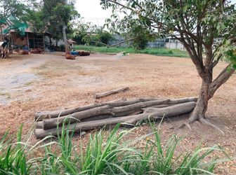 Chinh Chủ Bán Nền 264M2,giá 2Tỷ 2 Thổ,quốc Lộ N2,đức Lập Thượng,long An