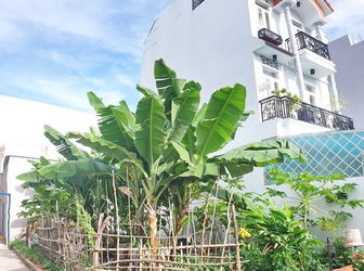  Lô Góc 2 Mặt Tiền Hẻm 77 Chuyên Dùng 9, P. Phú Mỹ, Quận 7