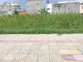 Đất Mặt Tiền Ql50, Shr